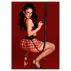 Conjunto de lencería maestra N°8106 - Imagen 2