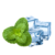Menta Ice